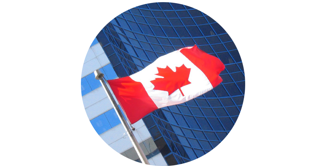 LCI Client - Coaching - Government of Canada round